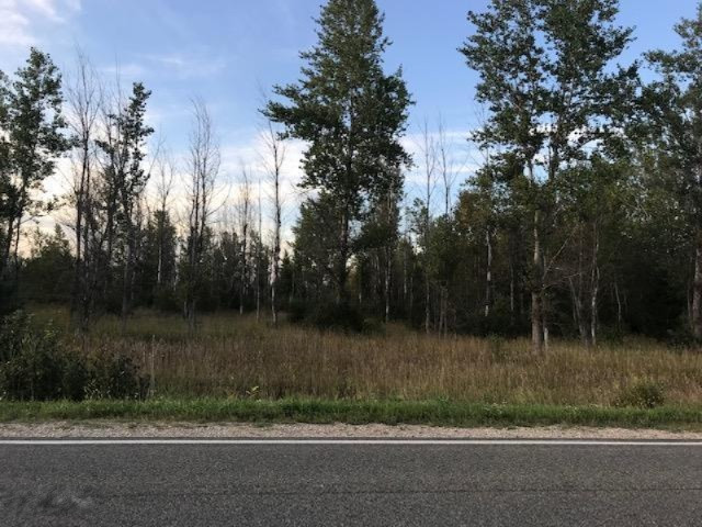 13 13 Mile Road Mesick, MI 49668 - Photo 20 of 34 IMG_4178