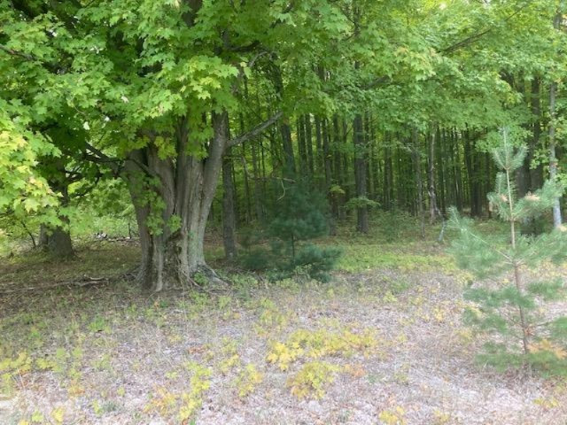 13 13 Mile Road Mesick, MI 49668 - Photo 2 of 34 IMG_7465