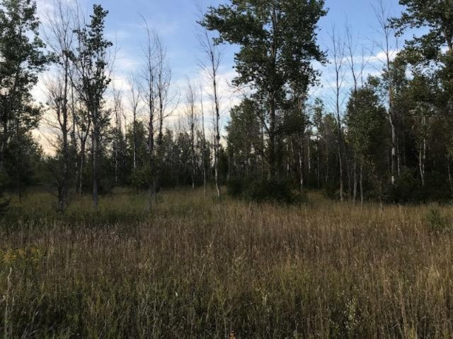 13 13 Mile Road Mesick, MI 49668 - Photo 21 of 34 IMG_4179