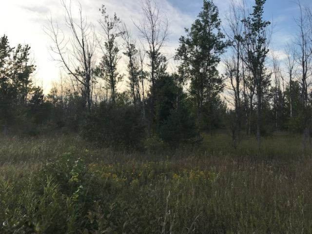 13 13 Mile Road Mesick, MI 49668 - Photo 22 of 34 IMG_4180