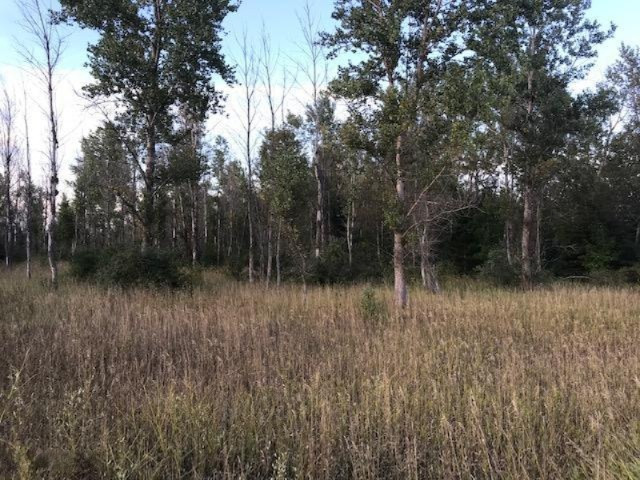 13 13 Mile Road Mesick, MI 49668 - Photo 23 of 34 IMG_4182