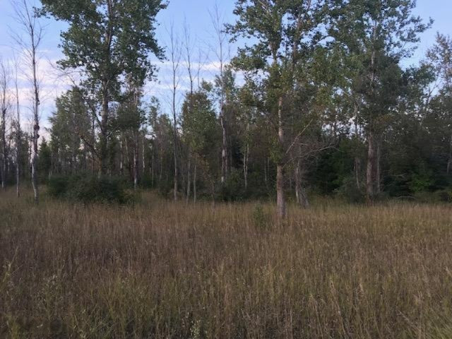 13 13 Mile Road Mesick, MI 49668 - Photo 24 of 34 IMG_4183