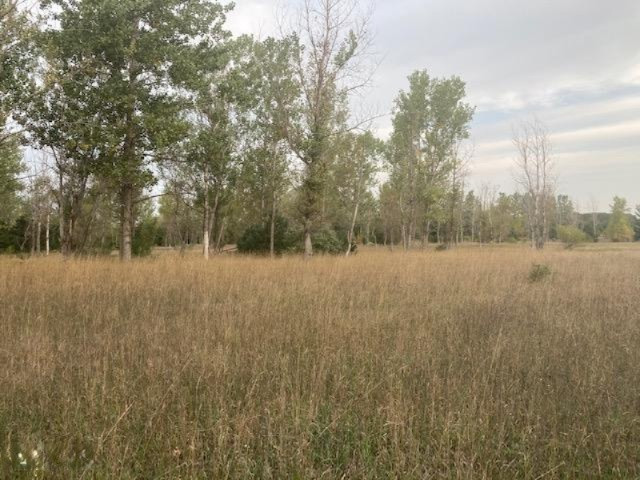 13 13 Mile Road Mesick, MI 49668 - Photo 29 of 34 IMG_7459