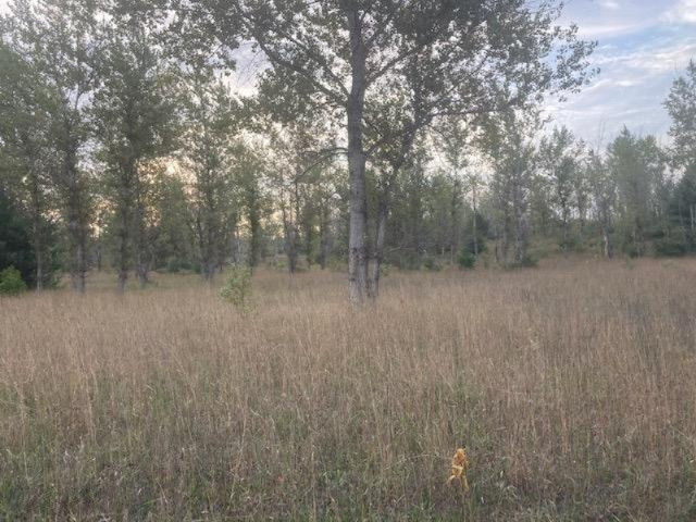 13 13 Mile Road Mesick, MI 49668 - Photo 30 of 34 IMG_7460