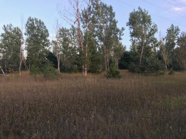 13 13 Mile Road Mesick, MI 49668 - Photo 6 of 34 IMG_4163