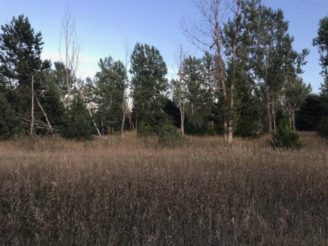 13 13 Mile Road Mesick, MI 49668 - Photo 7 of 34 IMG_4164