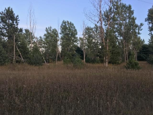 13 13 Mile Road Mesick, MI 49668 - Photo 9 of 34 IMG_4165