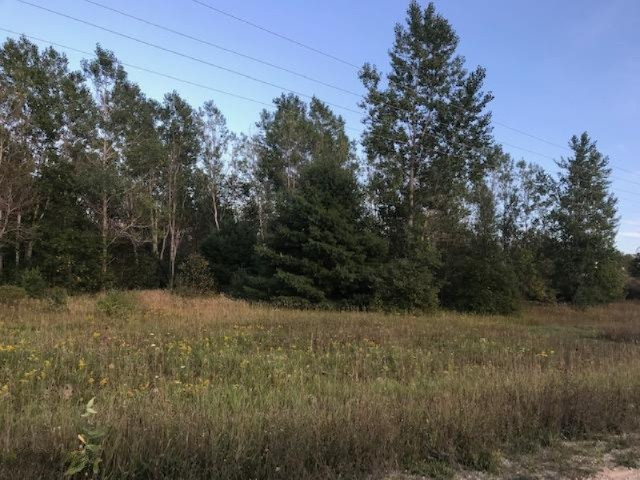 13 13 Mile Road Mesick, MI 49668 - Photo 10 of 34 IMG_4166