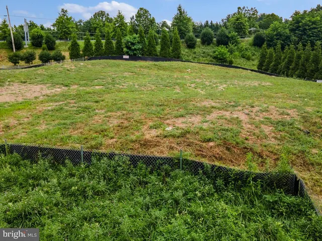 a view of a field with a trees in the background