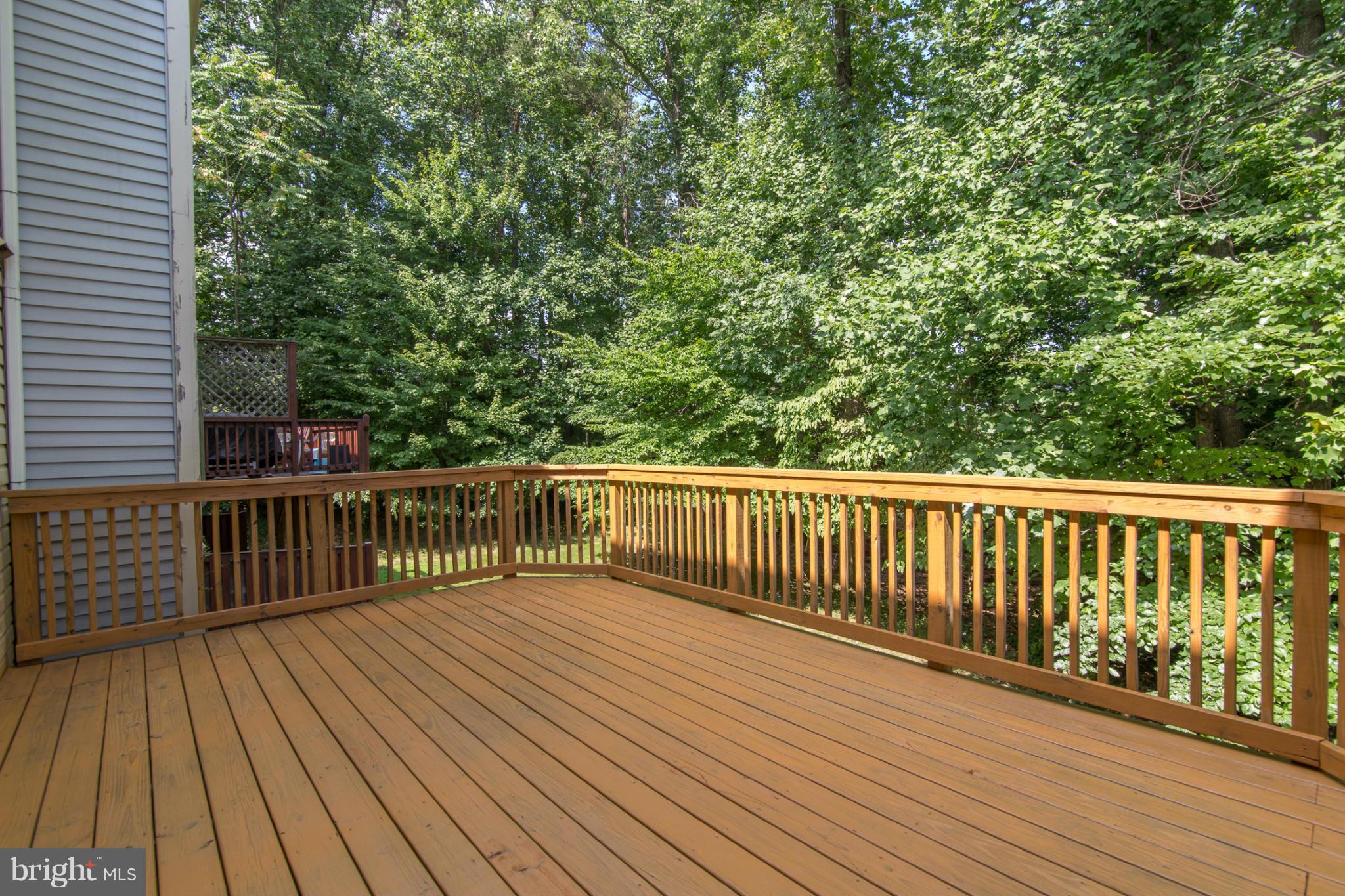 7 Wimbledon Court Silver Spring, MD 20906 - Photo 15 of 29 Exterior (Rear)