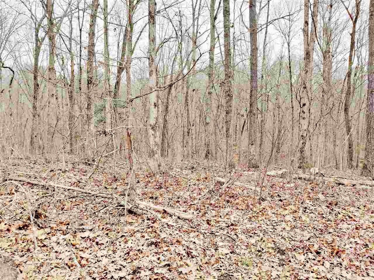 305 Pickle Road Ten Mile, TN 37880 - Photo 40 of 50 Gallery Image 40