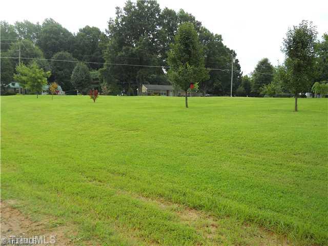 2564 Gideon Grove Road Stokesdale, NC 27357 - Photo 16 of 16 Yard/Garden.