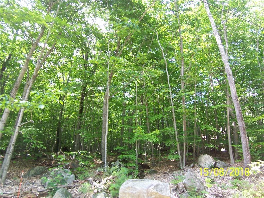 Lot 4 Loop Road Otisfield, ME 04270 - Photo 4 of 10 Photo