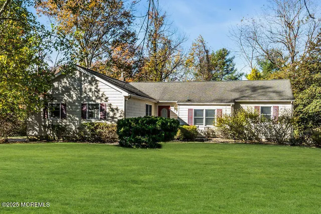a view of a park with large trees