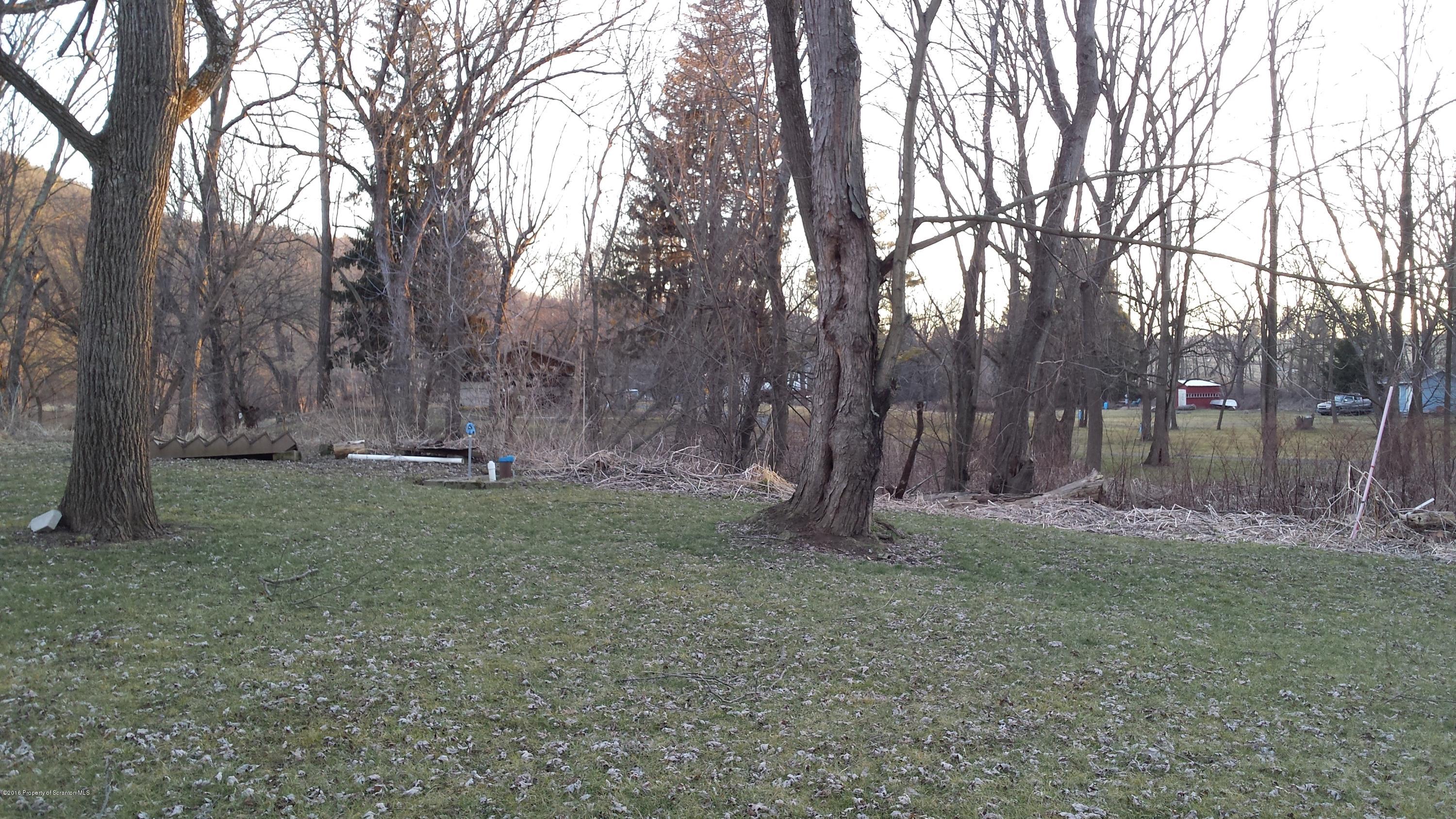 890 Myo Beach Road Meshoppen, PA 18630 - Photo 6 of 7 a backyard of a house with lots of green space