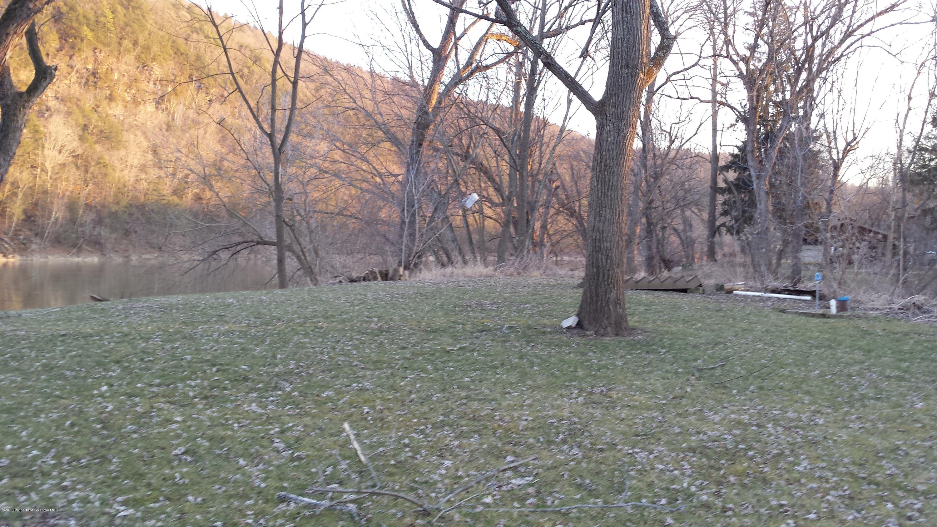 890 Myo Beach Road Meshoppen, PA 18630 - Photo 7 of 7 a view of outdoor space and tree