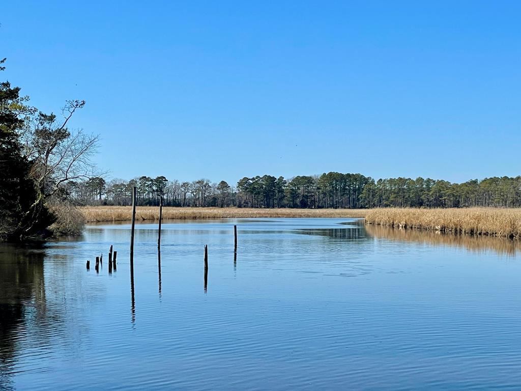 Lot 31 Miles Road, Unit 31 New Church, VA 23415 - Photo 20 of 24
