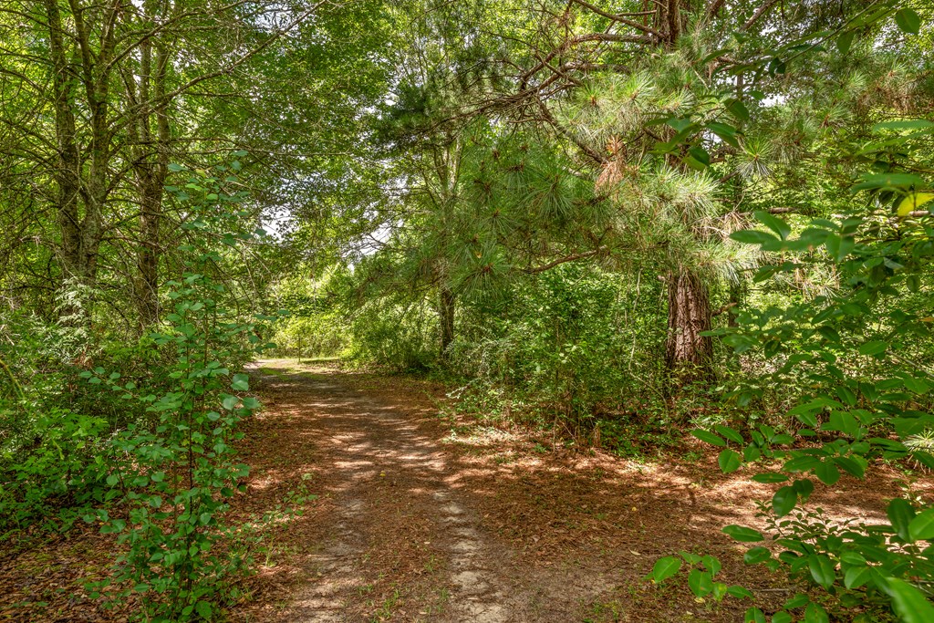 326 Oscar Godwin Road Dothan, AL 36301 - Photo 8 of 29