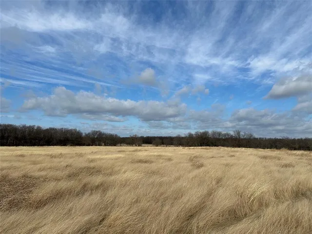 a view of a yard with wooden fence