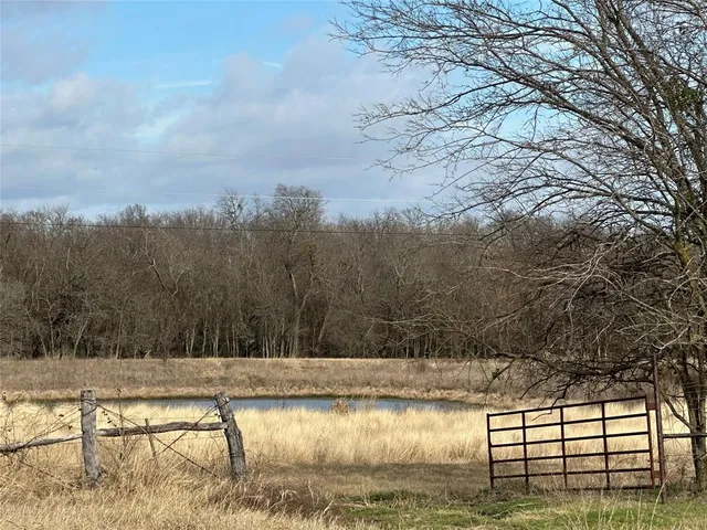 a view of backyard and trees