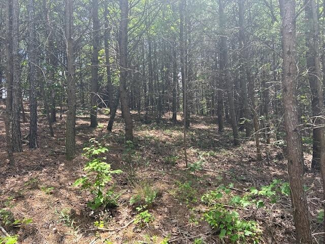 5 Owl Hollow Road Southwest McDonald, TN 37353 - Photo 11 of 32