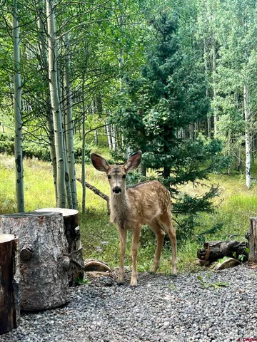 a backyard of a house with a yard and outdoor seating