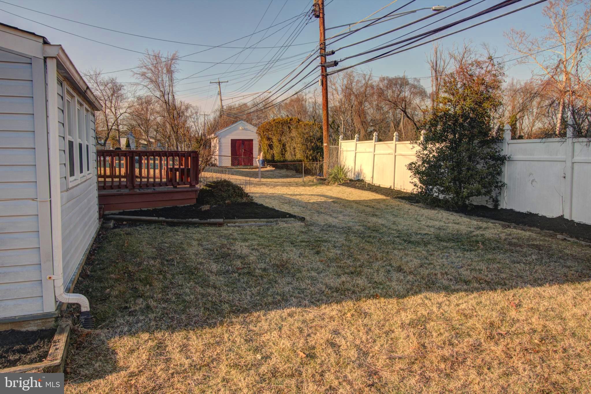 back yard
