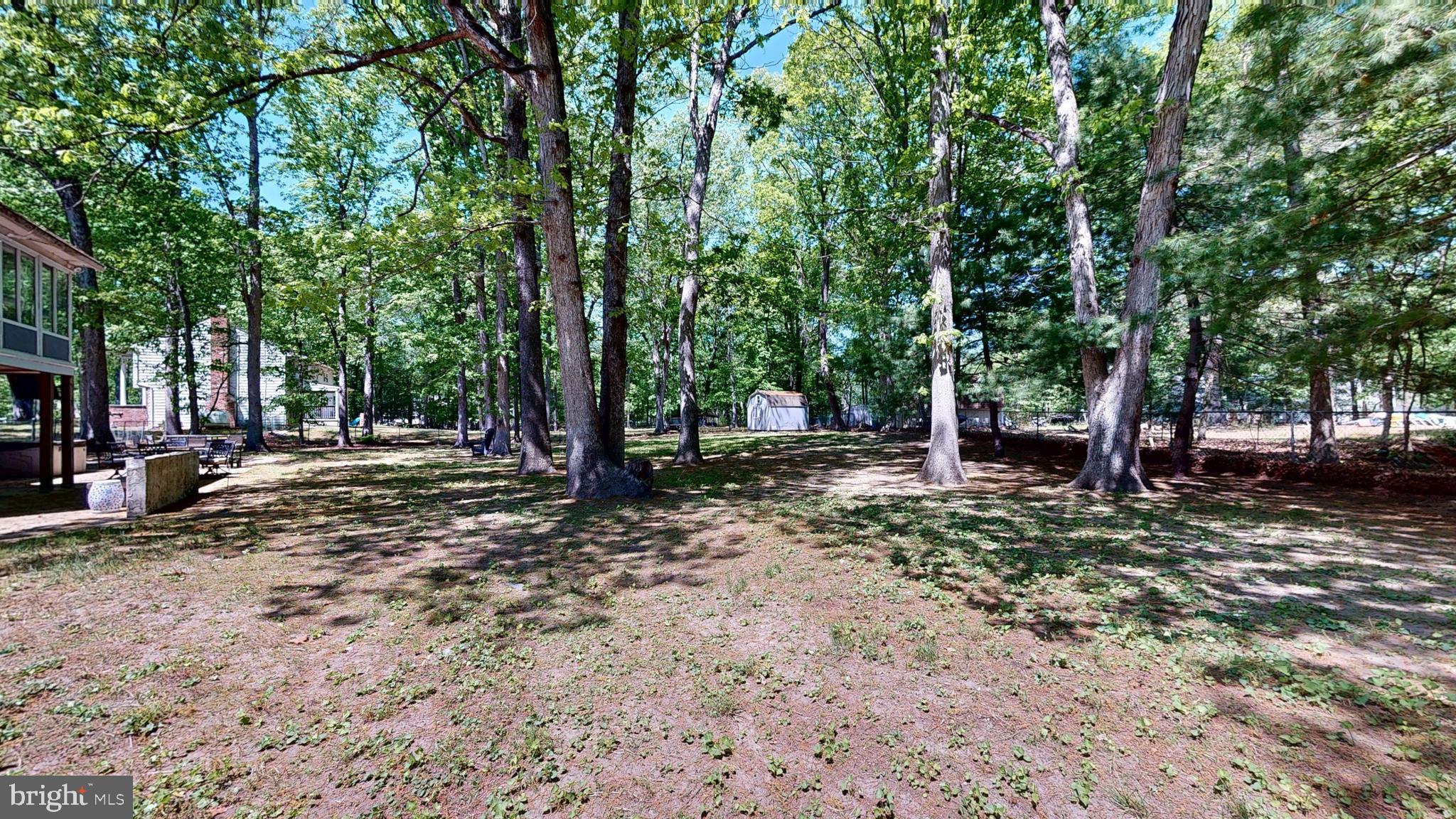 92 Grassy Lake Road Shamong, NJ 08088 - Photo 54 of 61 a view of a tree in a yard