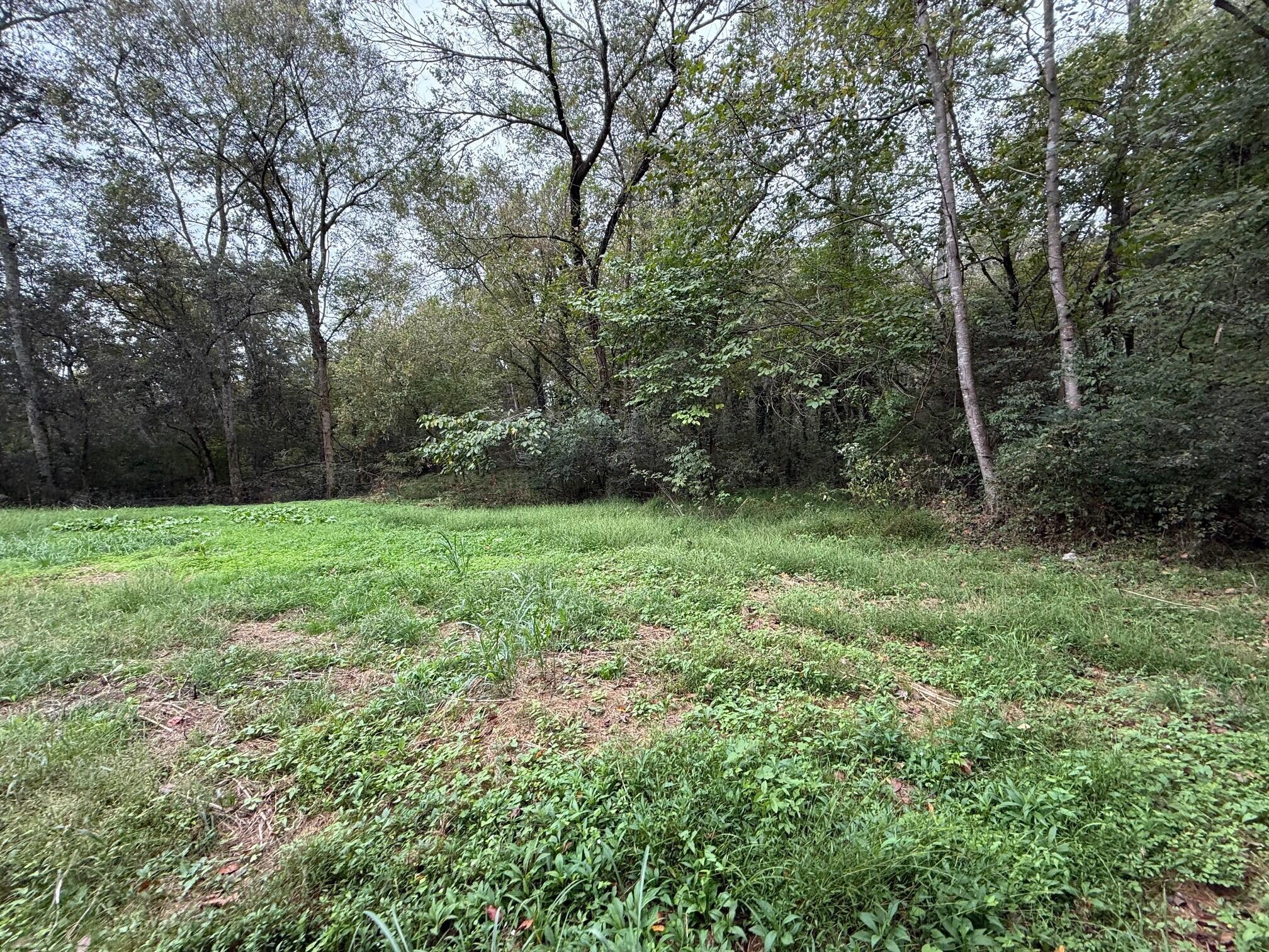 4 Fagin Road, Unit 4 Madisonville, TN 37354 - Photo 2 of 16 2