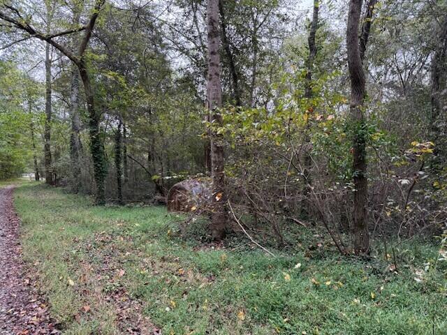 4 Fagin Road, Unit 4 Madisonville, TN 37354 - Photo 6 of 16 9