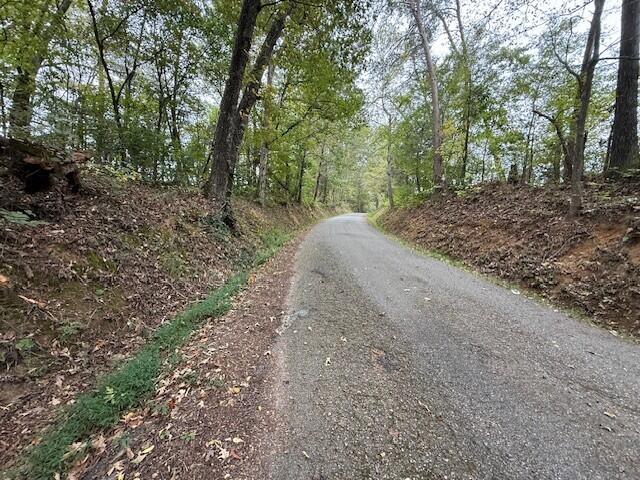 4 Fagin Road, Unit 4 Madisonville, TN 37354 - Photo 8 of 16 3