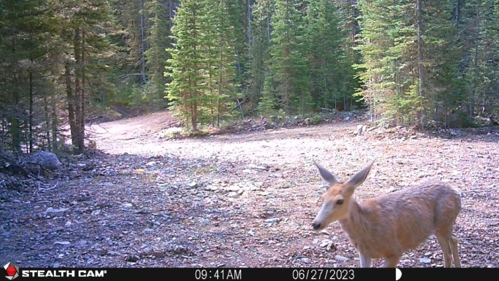 7 South Boulder Road Cardwell, MT 59721 - Photo 27 of 39 Gallery Image 27