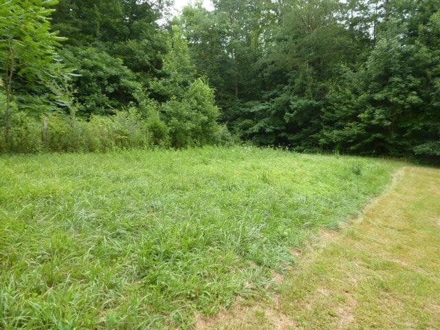 3081 Manson Road Jamestown, TN 38556 - Photo 7 of 16 P1080071