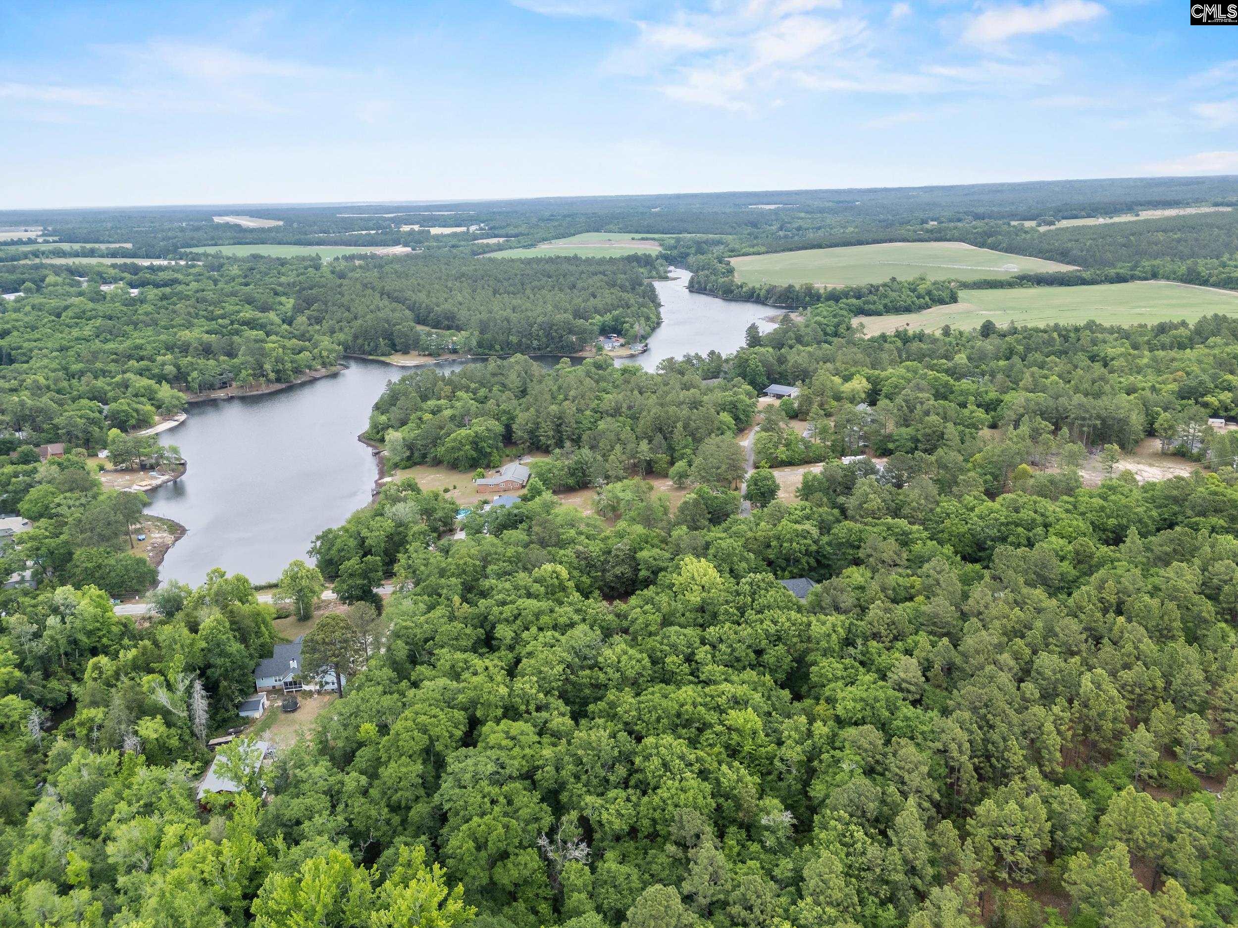132 Forts Pond Road Pelion, SC 29123 - Photo 47 of 54