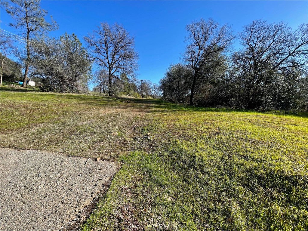 0 Olive Oroville, CA 95966 - Photo 1 of 10 a view of a yard with an trees