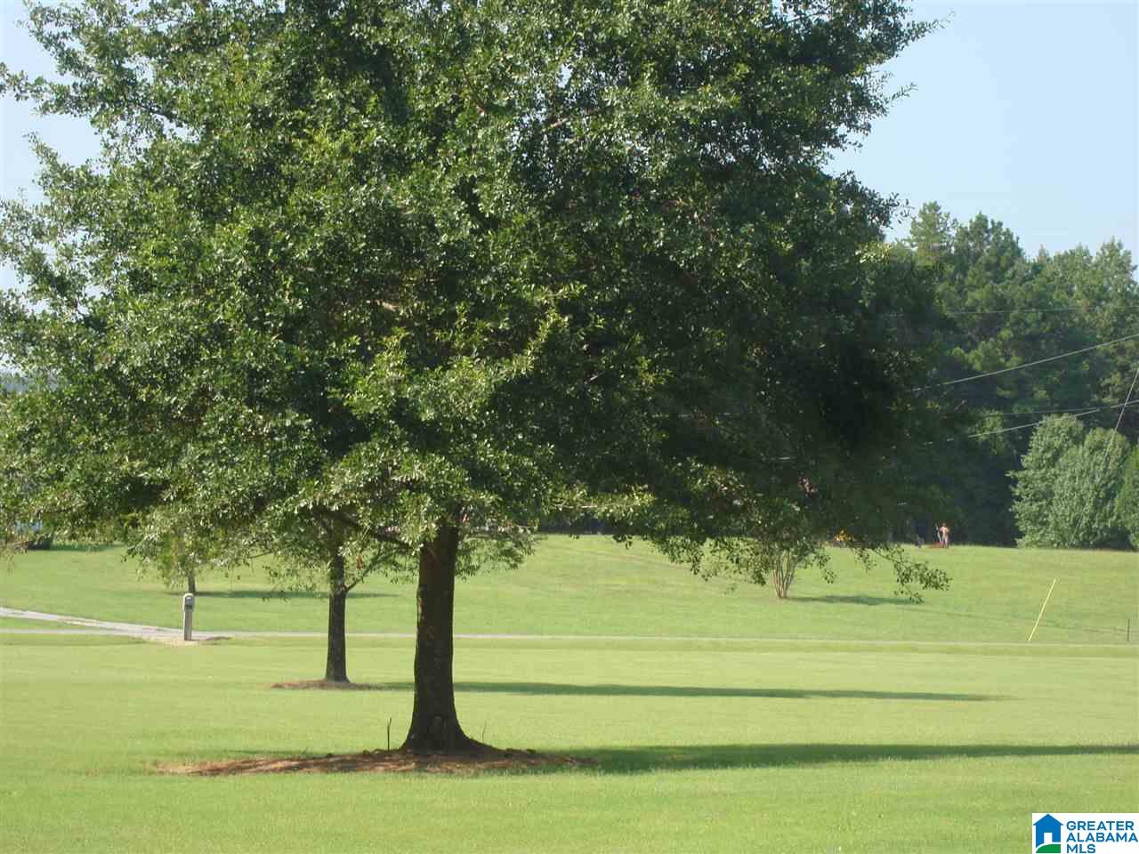 6023 Bristow Cove Road Boaz, AL 35956 - Photo 35 of 35