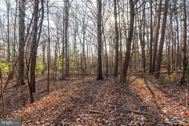 a view of outdoor space with deck and yard