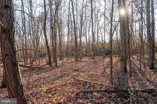 a view of outdoor space with trees