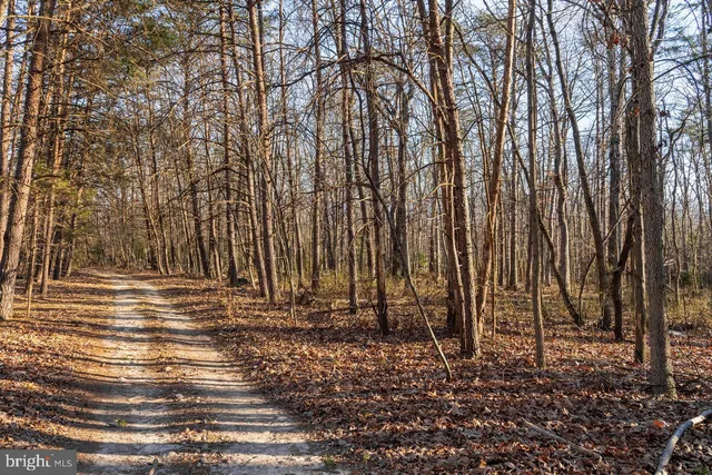 a backyard of a house with lots of green space and chair