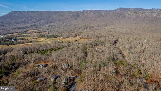 a view of a dry yard with green space