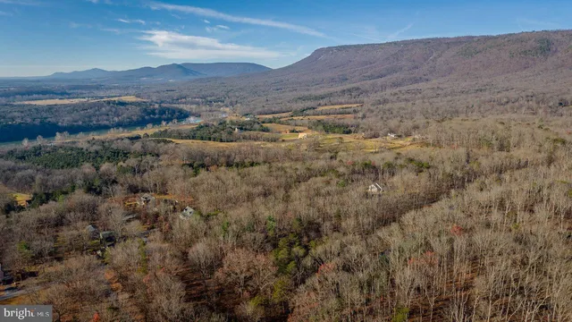 a view of mountain and tree