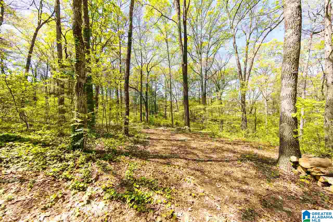 6659 Old Springville Road Pinson, AL 35126 - Photo 24 of 32