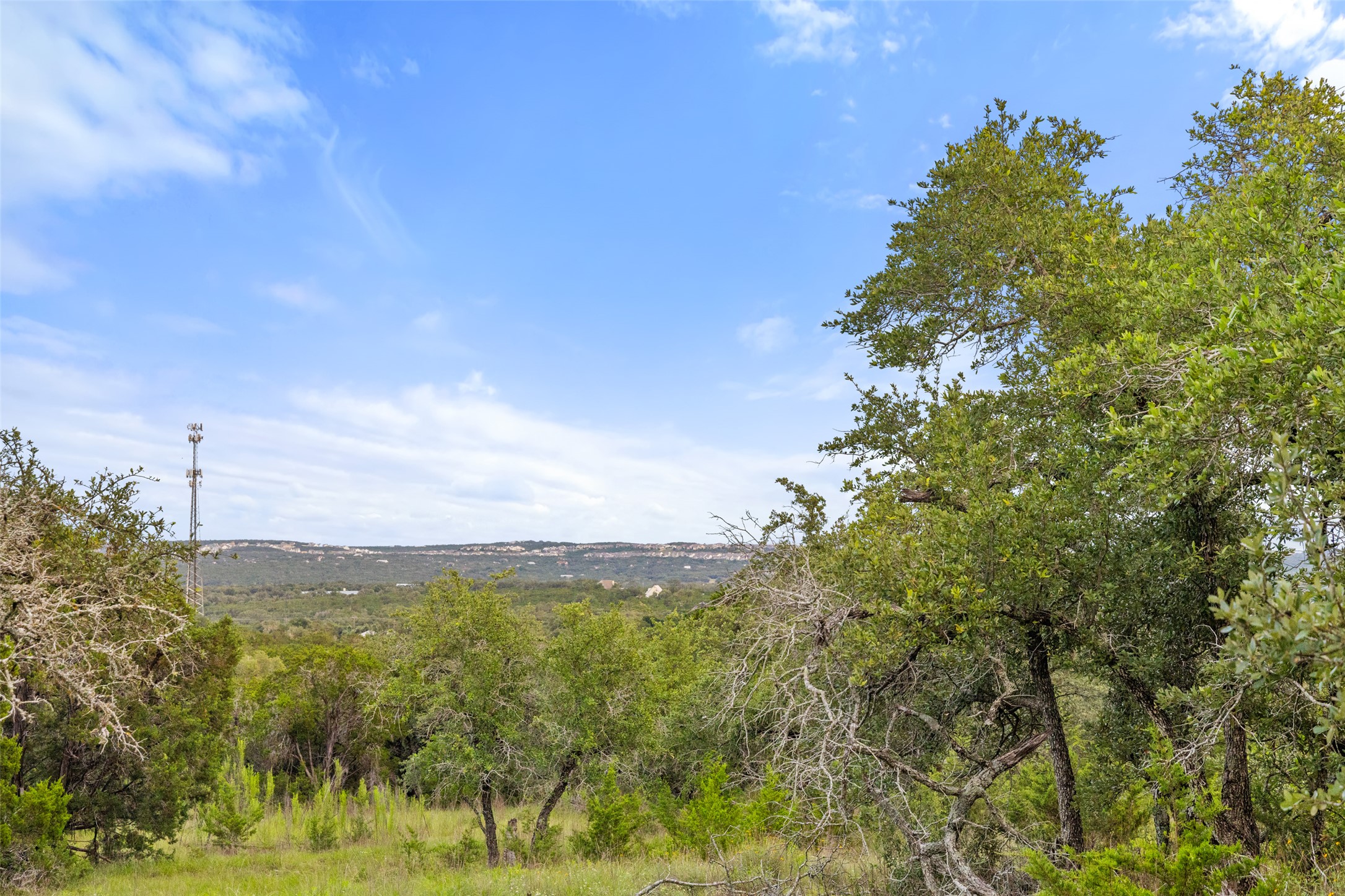 31860 Mirela Ann Road Dripping Springs, TX 78620 - Photo 5 of 20