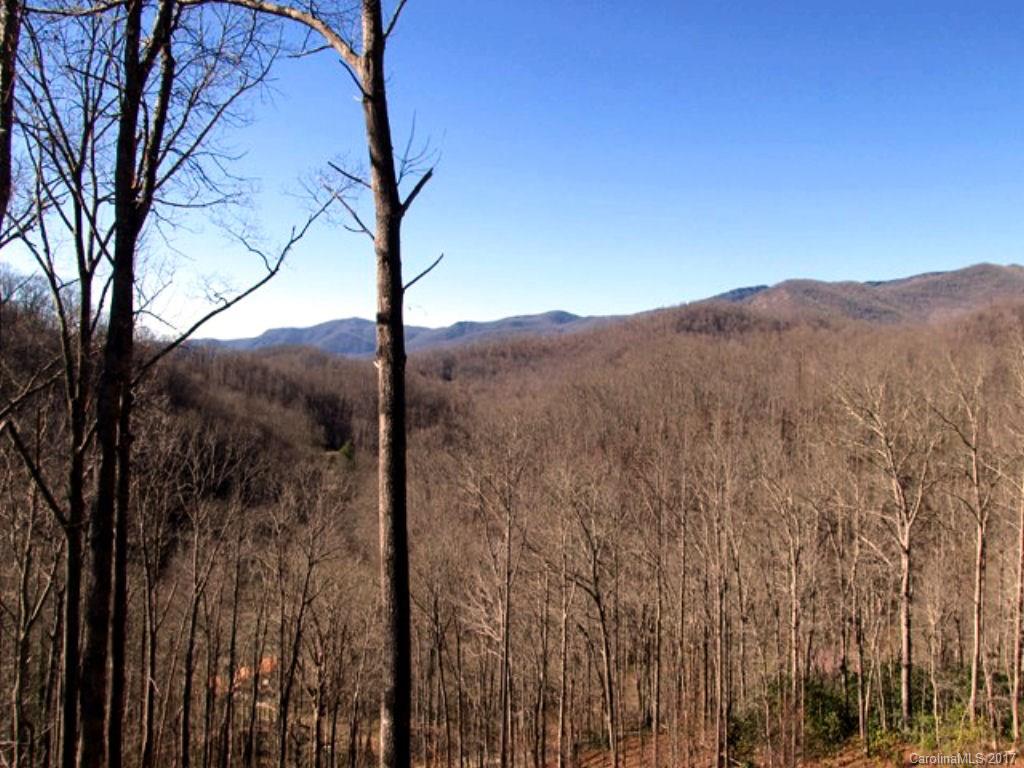 31 Lick Log Road Sylva, NC 28779 - Photo 23 of 24 a view of a forest with a tree