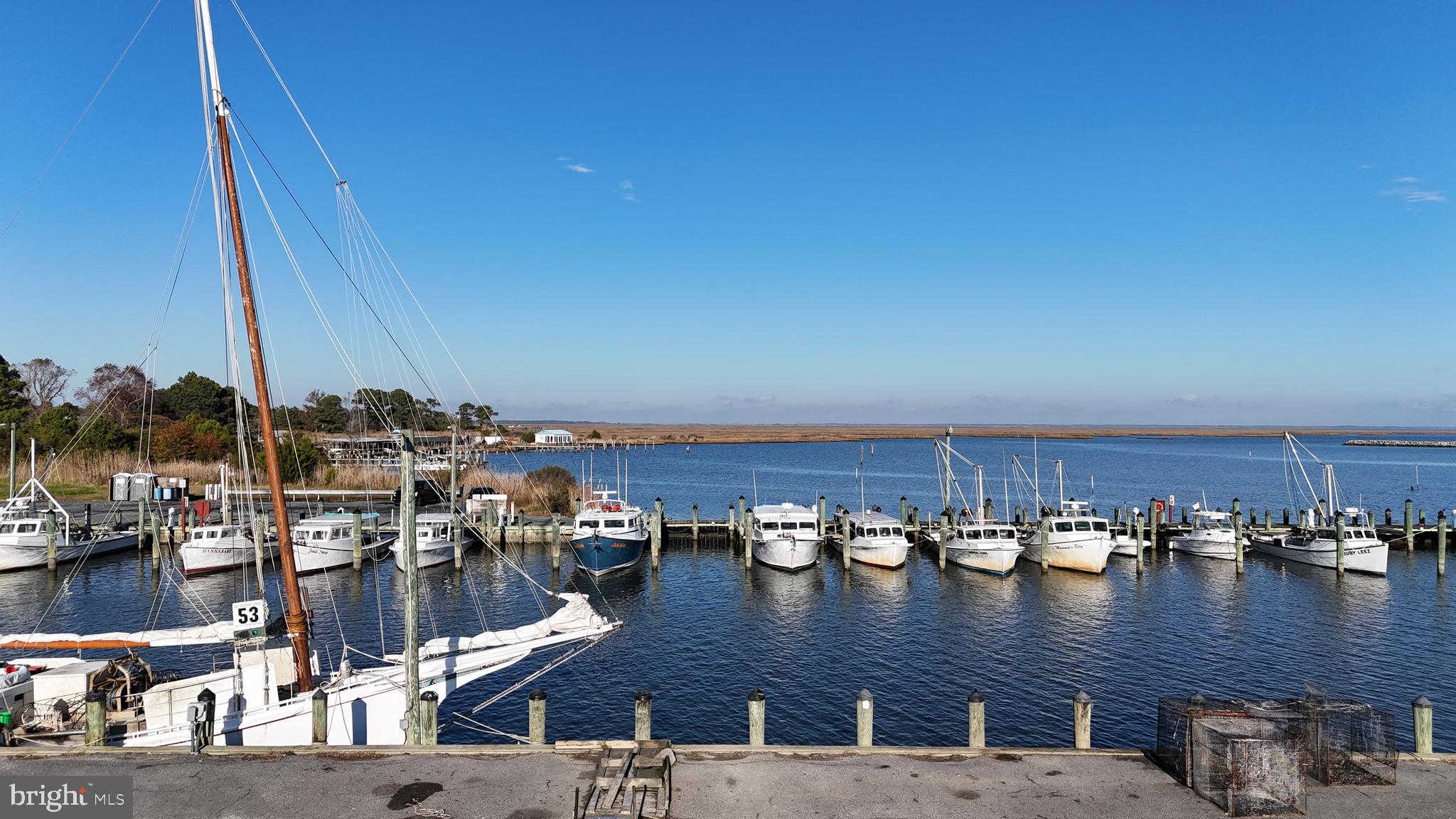 10821 Toddville Road Deal Island, MD 21821 - Photo 19 of 30 Wenona Harbor