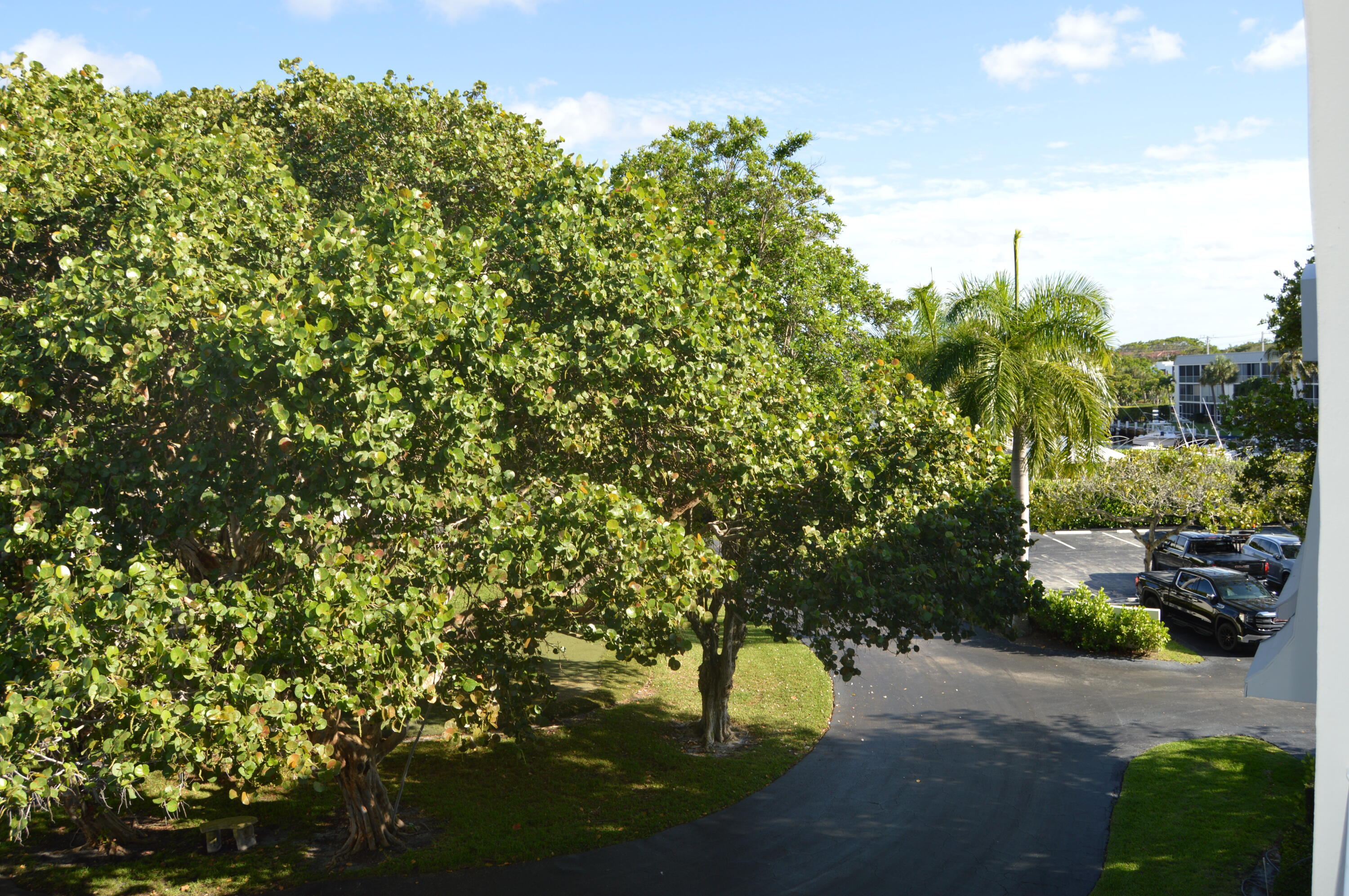 775 Jeffery Street, Unit 5303 Boca Raton, FL 33487 - Photo 27 of 33 DSC_0054