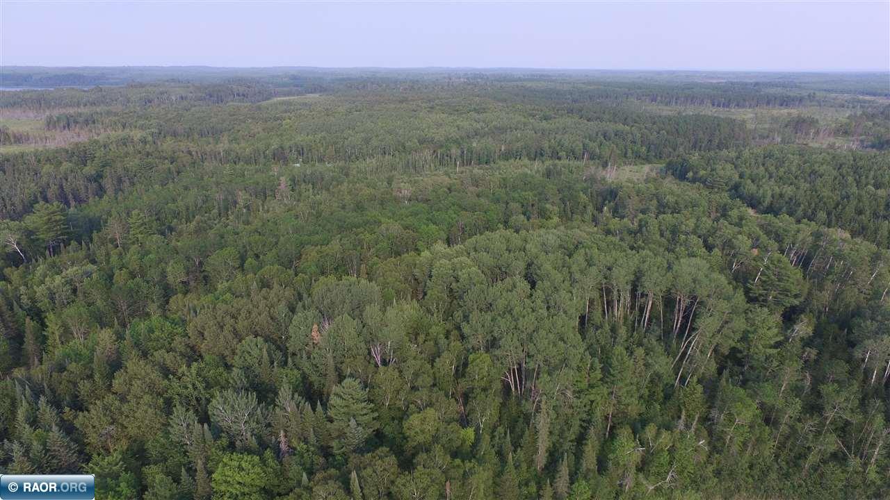 3.3 South Pickerel Lake Road Nashwauk, MN 55769 - Photo 3 of 13