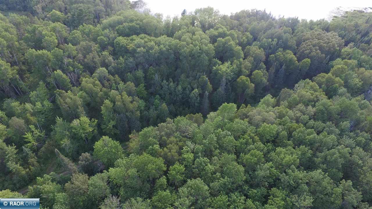 3.3 South Pickerel Lake Road Nashwauk, MN 55769 - Photo 5 of 13