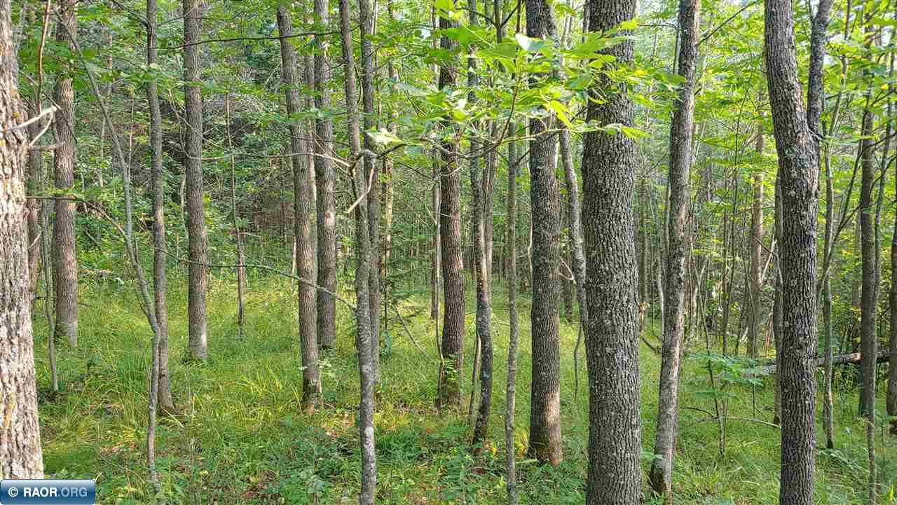 3.3 South Pickerel Lake Road Nashwauk, MN 55769 - Photo 8 of 13