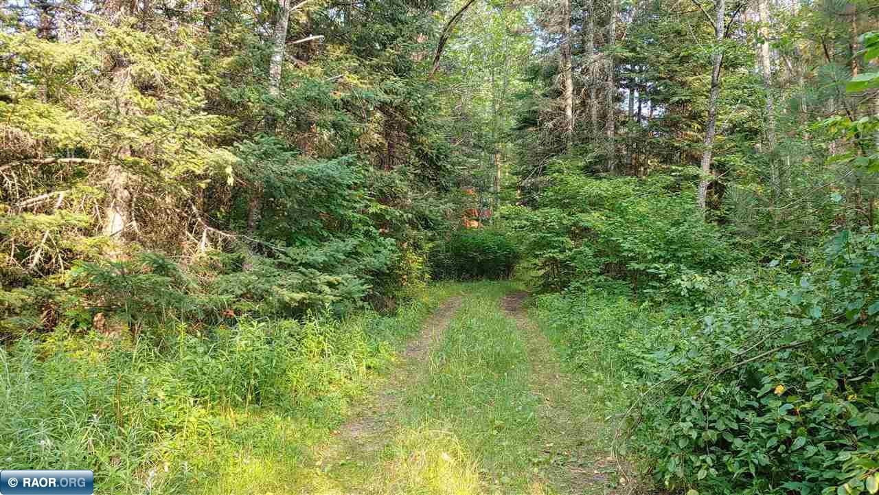 3.3 South Pickerel Lake Road Nashwauk, MN 55769 - Photo 9 of 13
